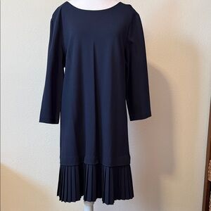 Ann Taylor Navy Long Sleeve Dress